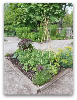 Basic Vegetable Garden Design Plans and Tips