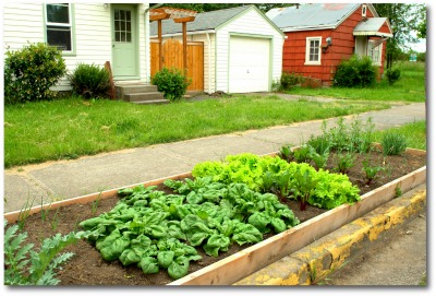 Easy Above Ground Vegetable Gardening Plans and Ideas