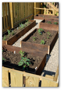 Vegetable Garden Fence