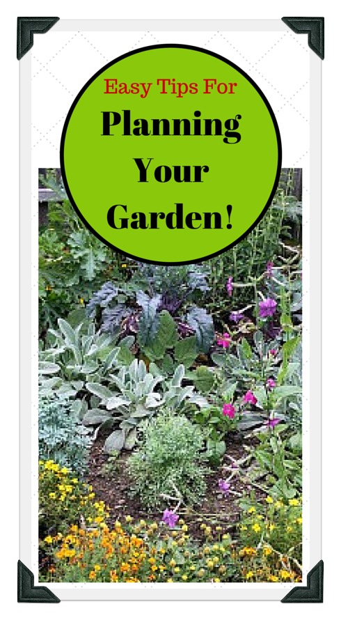 Vegetable Garden Pictures to Help Plan Your Garden