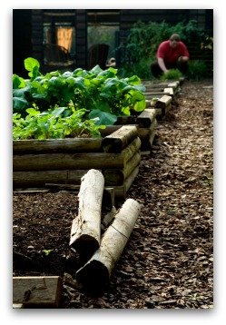 Easy Above Ground Vegetable Gardening Plans and Ideas