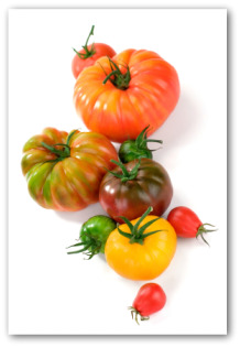 https://www.vegetable-gardening-online.com/images/brandywine-tomato-01.jpg