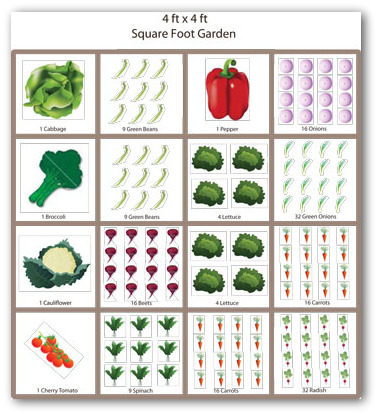 https://www.vegetable-gardening-online.com/images/img-sample-square-foot-vegetable-garden-plan.jpg