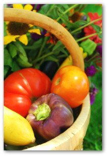 How To Grow A Garden EBook - The Best Of Vegetable Gardening Online